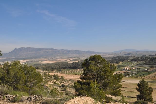 Grond te koop in La Zarza, Jumilla - € 39.900 (Ref: 9686349)