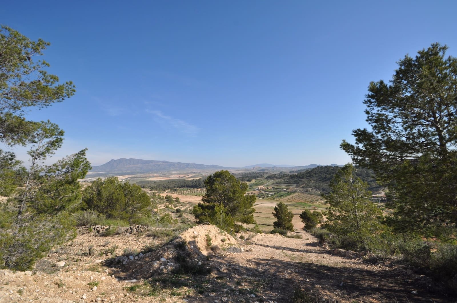 Undeveloped Land for sale in La Zarza - € 39,900 (Ref: 9686349)