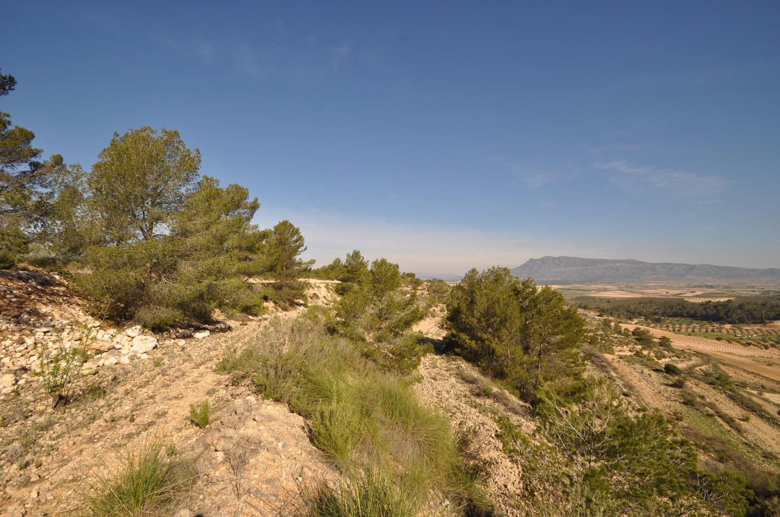 Undeveloped Land for sale in La Zarza - € 39,900 (Ref: 9686349)