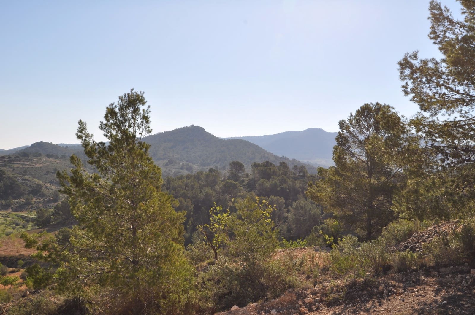 Undeveloped Land for sale in La Zarza - € 39,900 (Ref: 9686349)