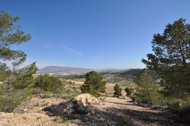 Grond te koop in La Zarza, Jumilla - € 39.900 (Ref: 9686349)
