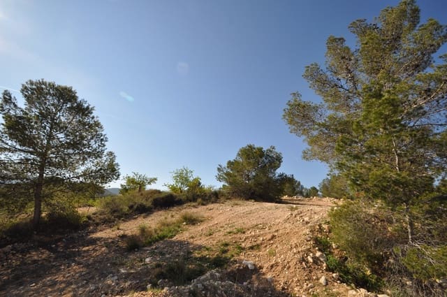 Grond te koop in La Zarza, Jumilla - € 39.900 (Ref: 9686349)