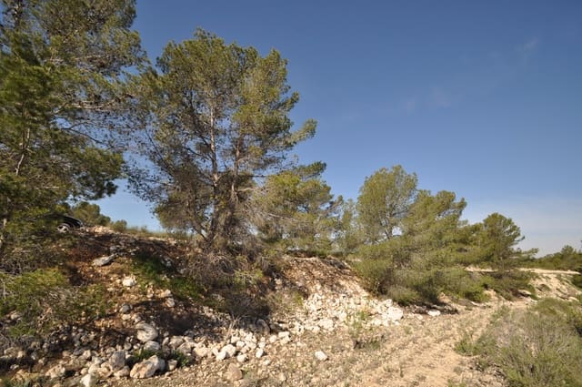 Grond te koop in La Zarza, Jumilla - € 39.900 (Ref: 9686349)