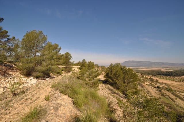 Terre non Aménagée à vendre à La Zarza, Jumilla - 39 900 € (Ref: 9686349)