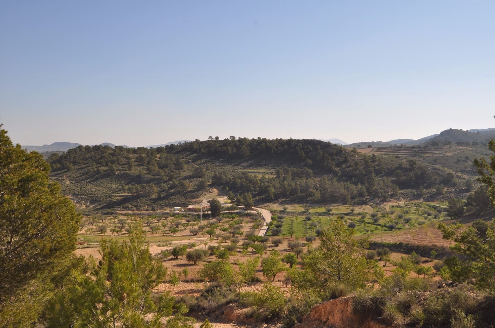 Terre non Aménagée à vendre à La Zarza - 39 900 € (Ref: 9686349)