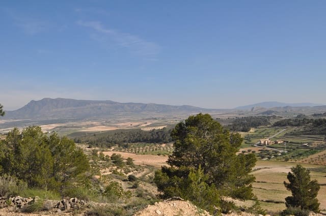 Terre non Aménagée à vendre à La Zarza, Jumilla - 39 900 € (Ref: 9686349)