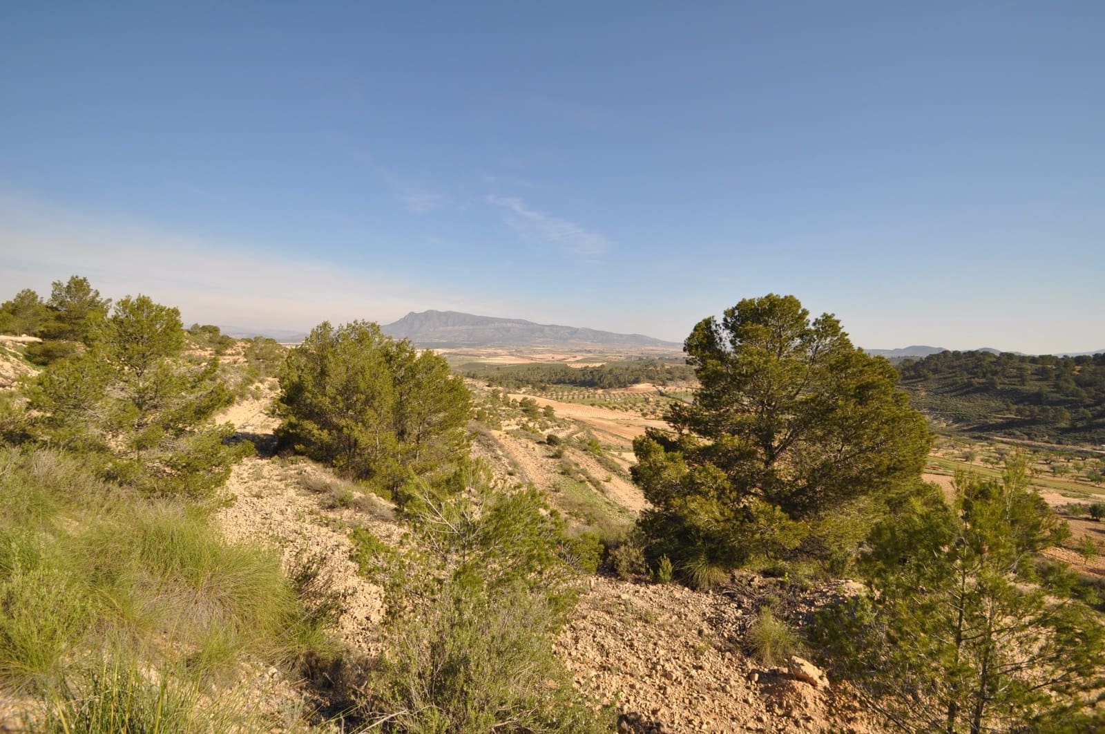 Terre non Aménagée à vendre à La Zarza - 39 900 € (Ref: 9686349)