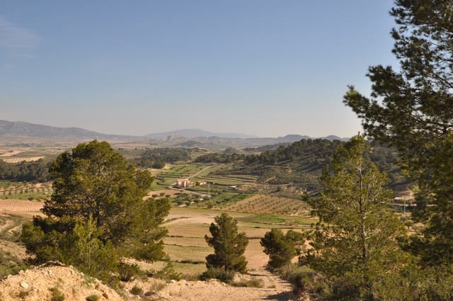 Terre non Aménagée à vendre à La Zarza, Jumilla - 39 900 € (Ref: 9686349)