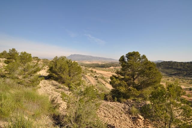 Terre non Aménagée à vendre à La Zarza, Jumilla - 39 900 € (Ref: 9686349)