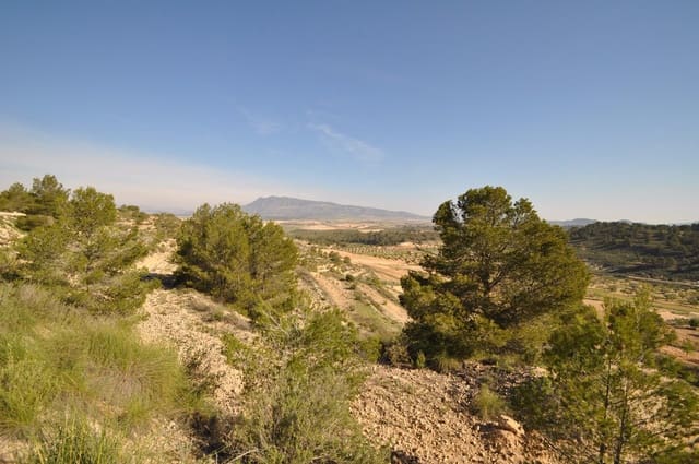 Grunde uden byggetilladelser til salg i La Zarza, Jumilla - € 39.900 (Ref: 9686349)
