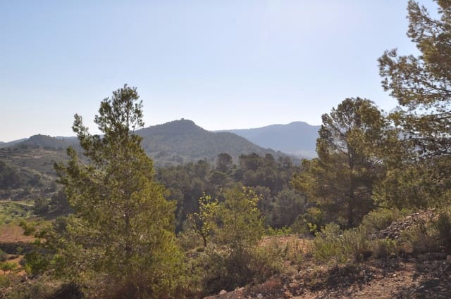 Grunde uden byggetilladelser til salg i La Zarza, Jumilla - € 39.900 (Ref: 9686349)