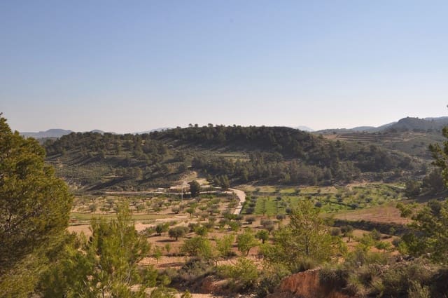 Grunde uden byggetilladelser til salg i La Zarza, Jumilla - € 39.900 (Ref: 9686349)