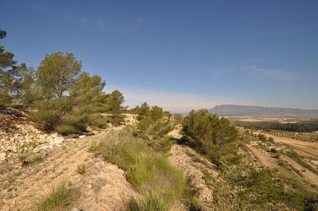 Grond te koop in La Zarza, Jumilla - € 39.900 (Ref: 9686349)