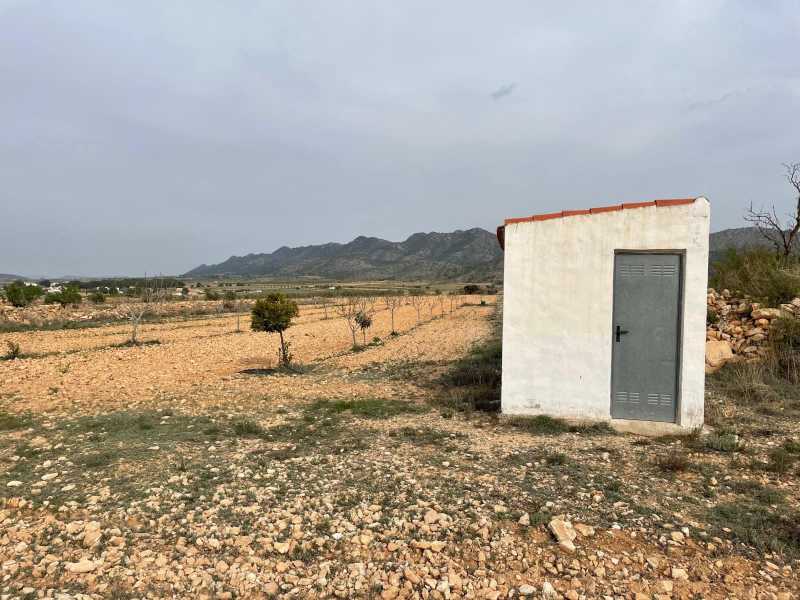 Undeveloped Land for sale in Pinoso - € 59,900 (Ref: 9686350)