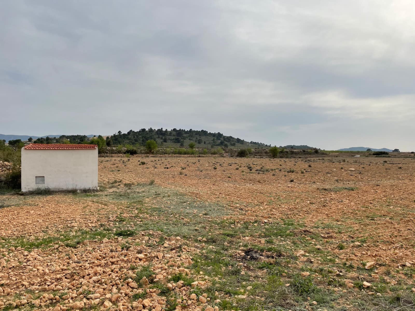 Undeveloped Land for sale in Pinoso - € 59,900 (Ref: 9686350)