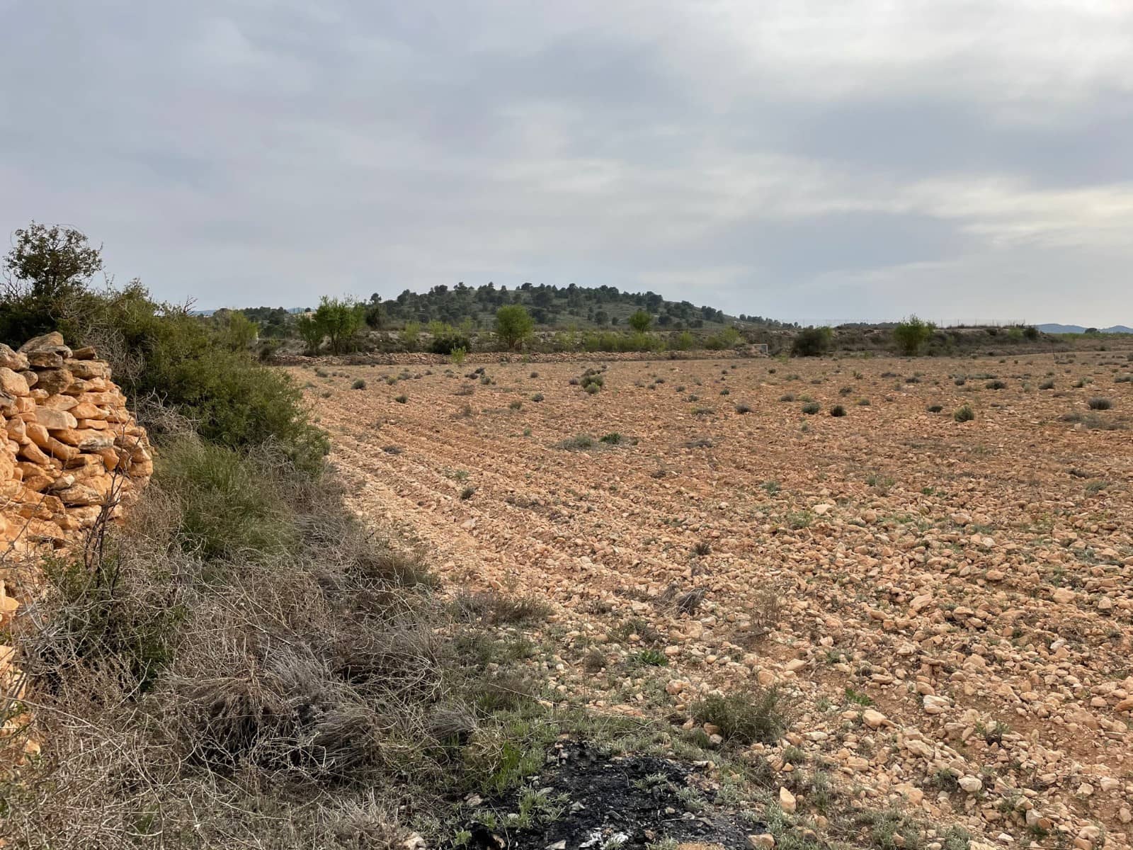 Undeveloped Land for sale in Pinoso - € 59,900 (Ref: 9686350)