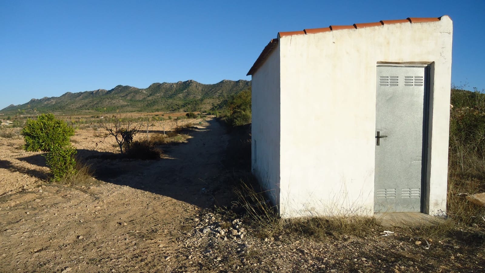 Undeveloped Land for sale in Pinoso - € 59,900 (Ref: 9686350)