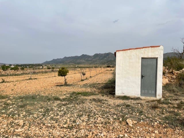 Grunde uden byggetilladelser til salg i Yecla - € 54.900 (Ref: 9686351)