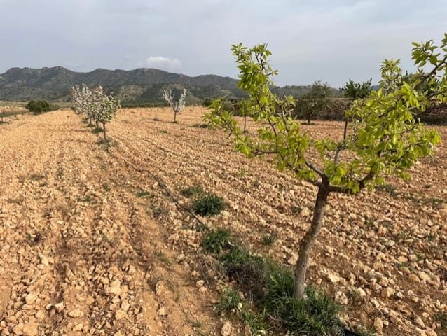 Grunde uden byggetilladelser til salg i Yecla - € 54.900 (Ref: 9686351)