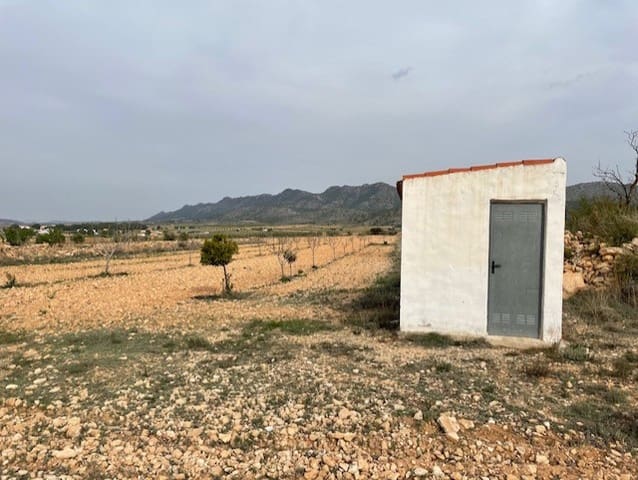 Grunde uden byggetilladelser til salg i Yecla - € 54.900 (Ref: 9686351)