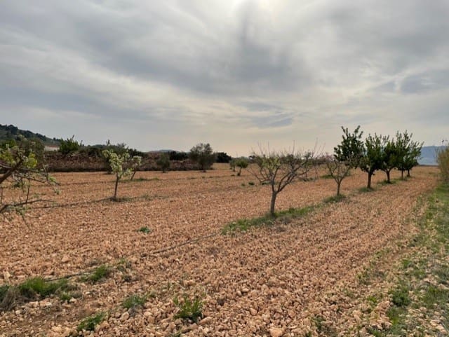 Grunde uden byggetilladelser til salg i Yecla - € 54.900 (Ref: 9686351)