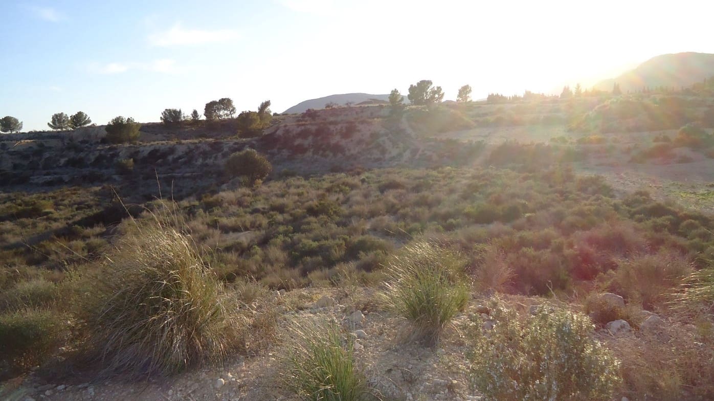 Terreno Non Edificato in vendita in Mahoya - 22.900 € (Rif: 9687214)