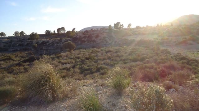 Terreno Non Edificato in vendita in Mahoya, Abanilla - 22.900 € (Rif: 9687214)