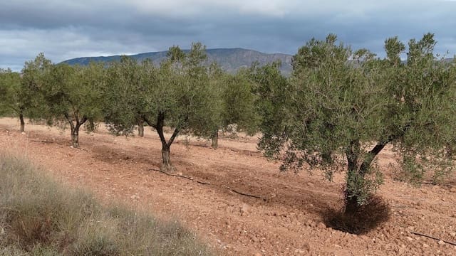 Grond te koop in Monóvar / Monóver - € 42.900 (Ref: 9687215)