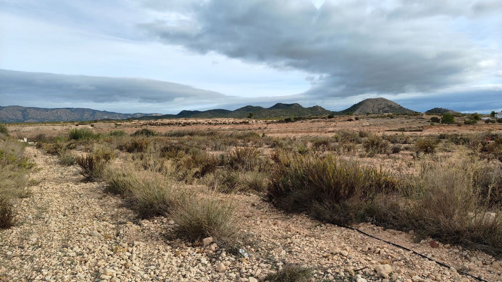 Terreno Não Urbanizado para venda em Monovar / Monover - 42 900 € (Ref: 9687215)