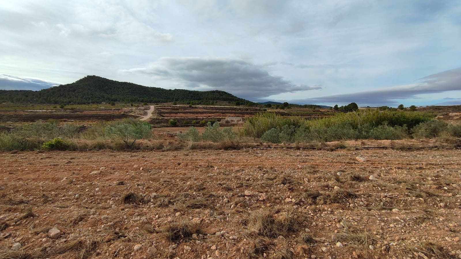 Mark till salu i Monovar / Monover - 42 900 € (Ref: 9687215)