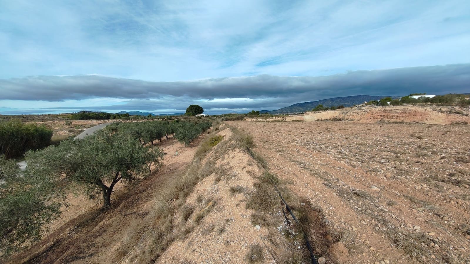 Mark till salu i Monovar / Monover - 42 900 € (Ref: 9687215)