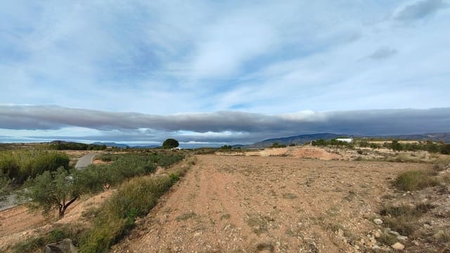 Undeveloped Land for sale in Monóvar / Monóver - € 42,900 (Ref: 9687215)