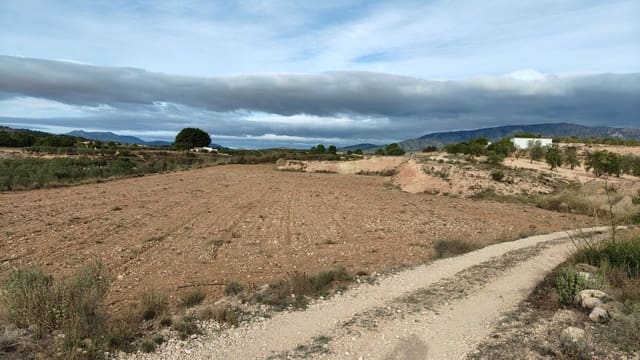 Undeveloped Land for sale in Monóvar / Monóver - € 42,900 (Ref: 9687215)