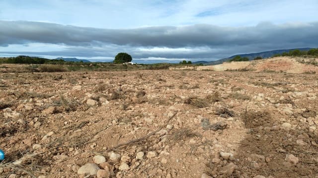 Undeveloped Land for sale in Monóvar / Monóver - € 42,900 (Ref: 9687215)