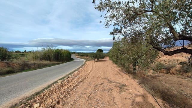 Teren niezagospodarowany na sprzedaż w Monóvar / Monóver - 42 900 € (Ref: 9687215)