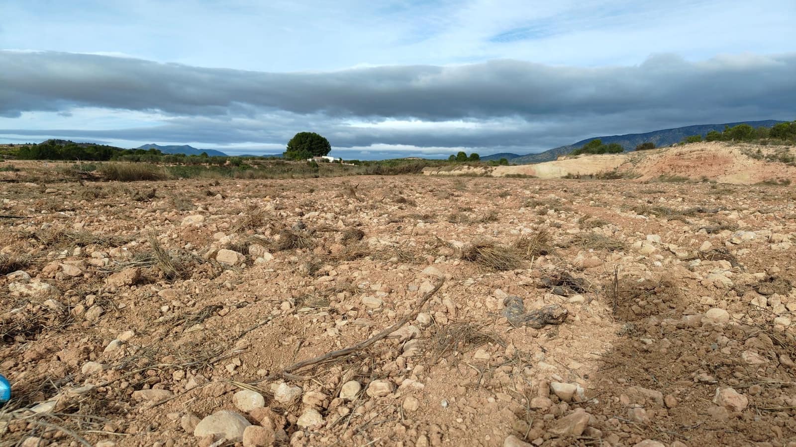 Undeveloped Land for sale in Monovar / Monover - € 42,900 (Ref: 9687215)