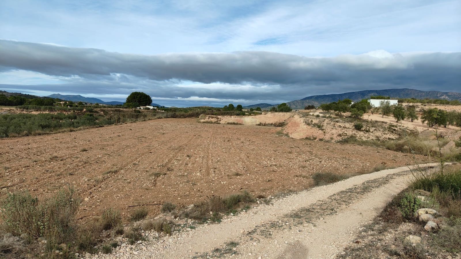 Undeveloped Land for sale in Monovar / Monover - € 42,900 (Ref: 9687215)