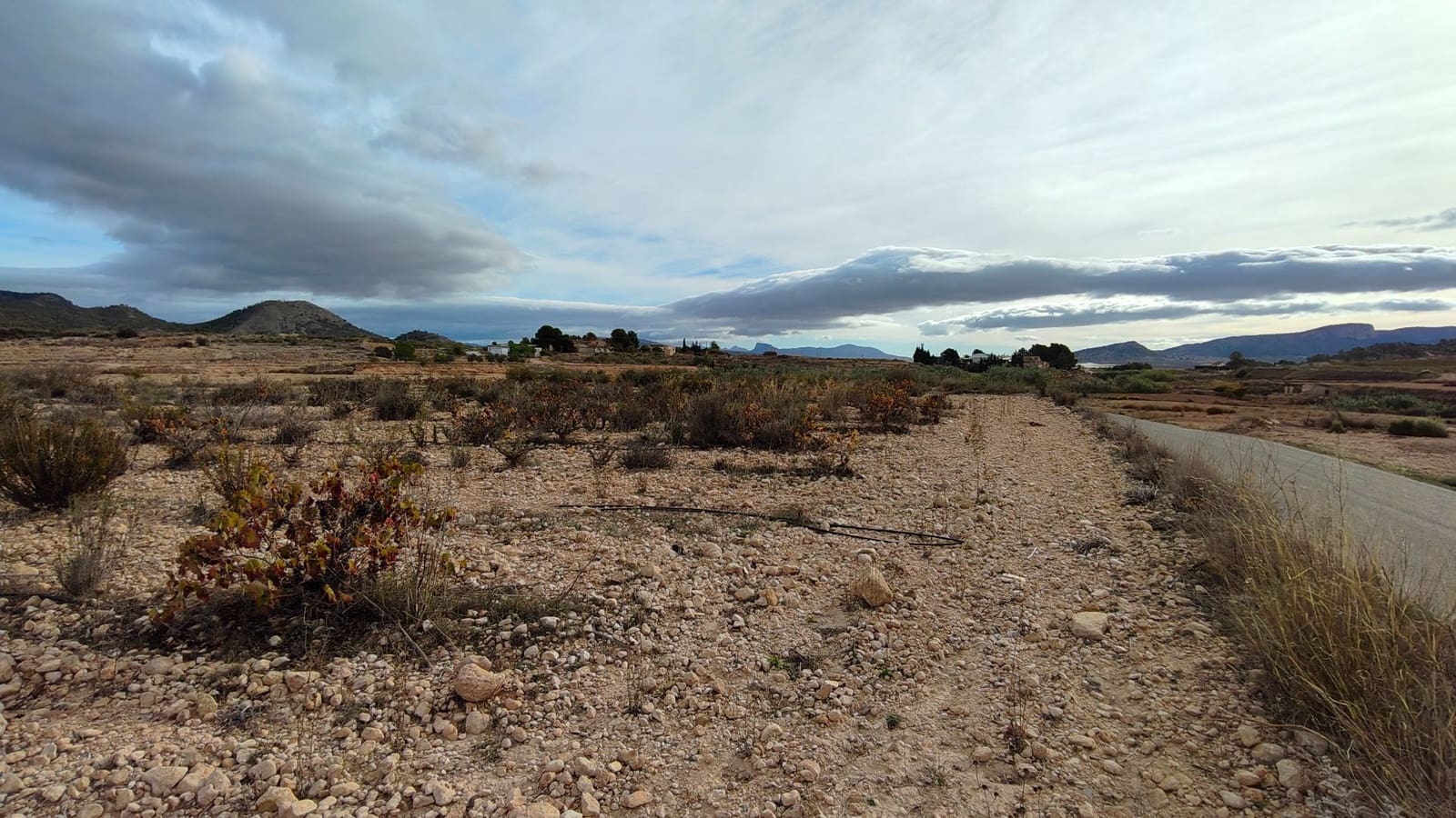 Undeveloped Land for sale in Monovar / Monover - € 42,900 (Ref: 9687215)