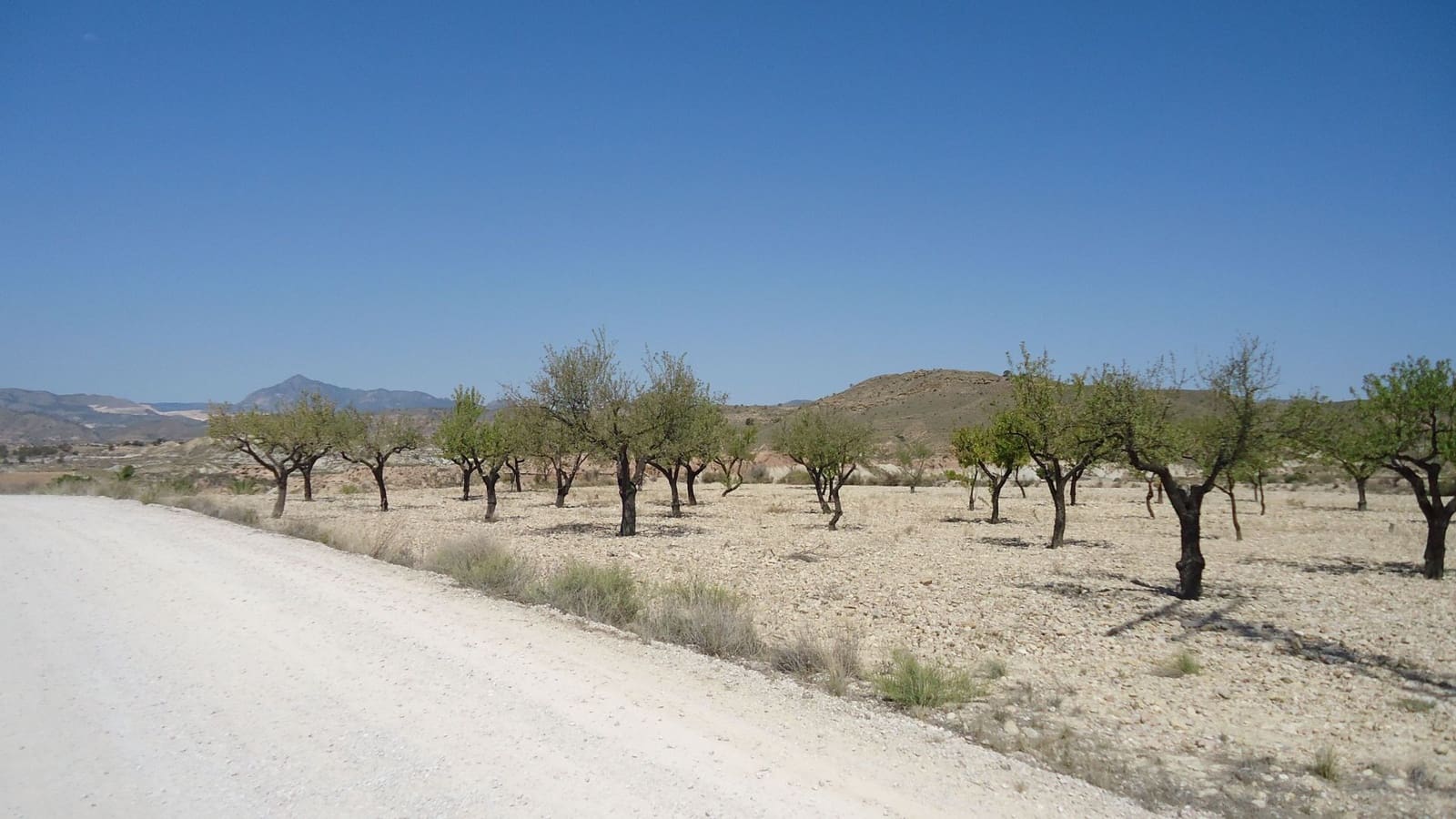 Terreno Non Edificato in vendita in Abanilla - 32.900 € (Rif: 9687218)