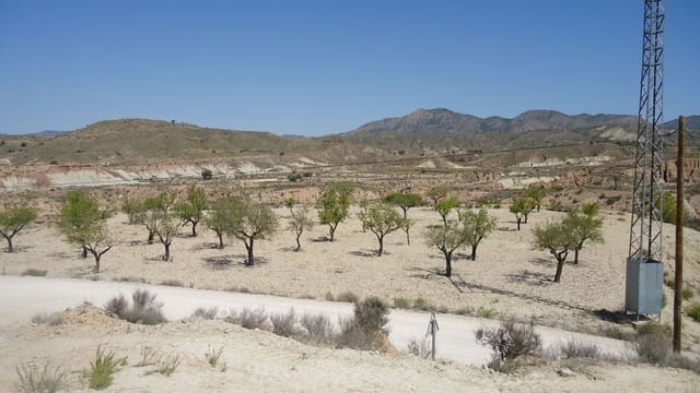 Terreno Non Edificato in vendita in Abanilla - 32.900 € (Rif: 9687218)