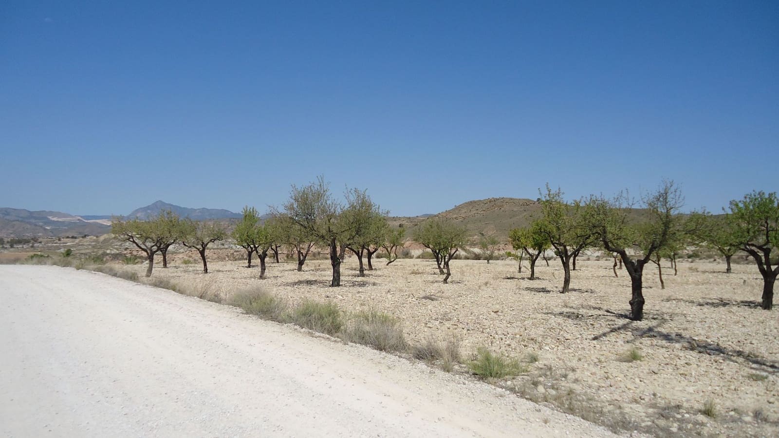 Terreno Non Edificato in vendita in Abanilla - 32.900 € (Rif: 9687218)