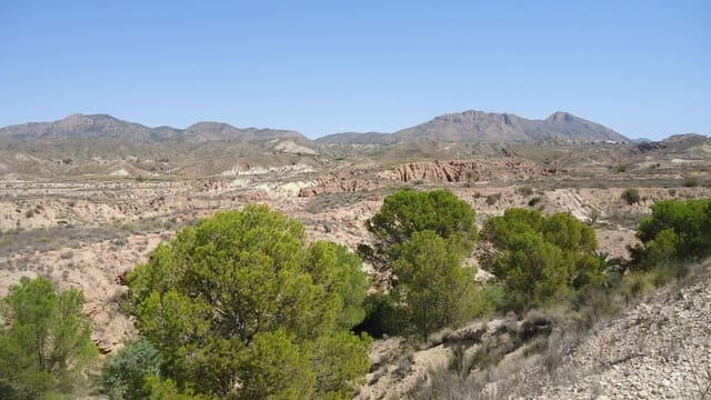 Terreno Non Edificato in vendita in Abanilla - 32.900 € (Rif: 9687218)