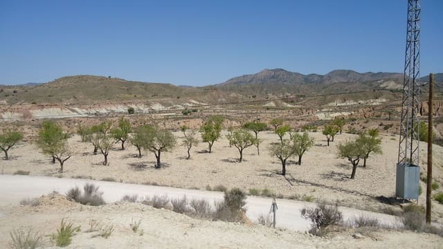 Terreno Non Edificato in vendita in Abanilla - 32.900 € (Rif: 9687218)