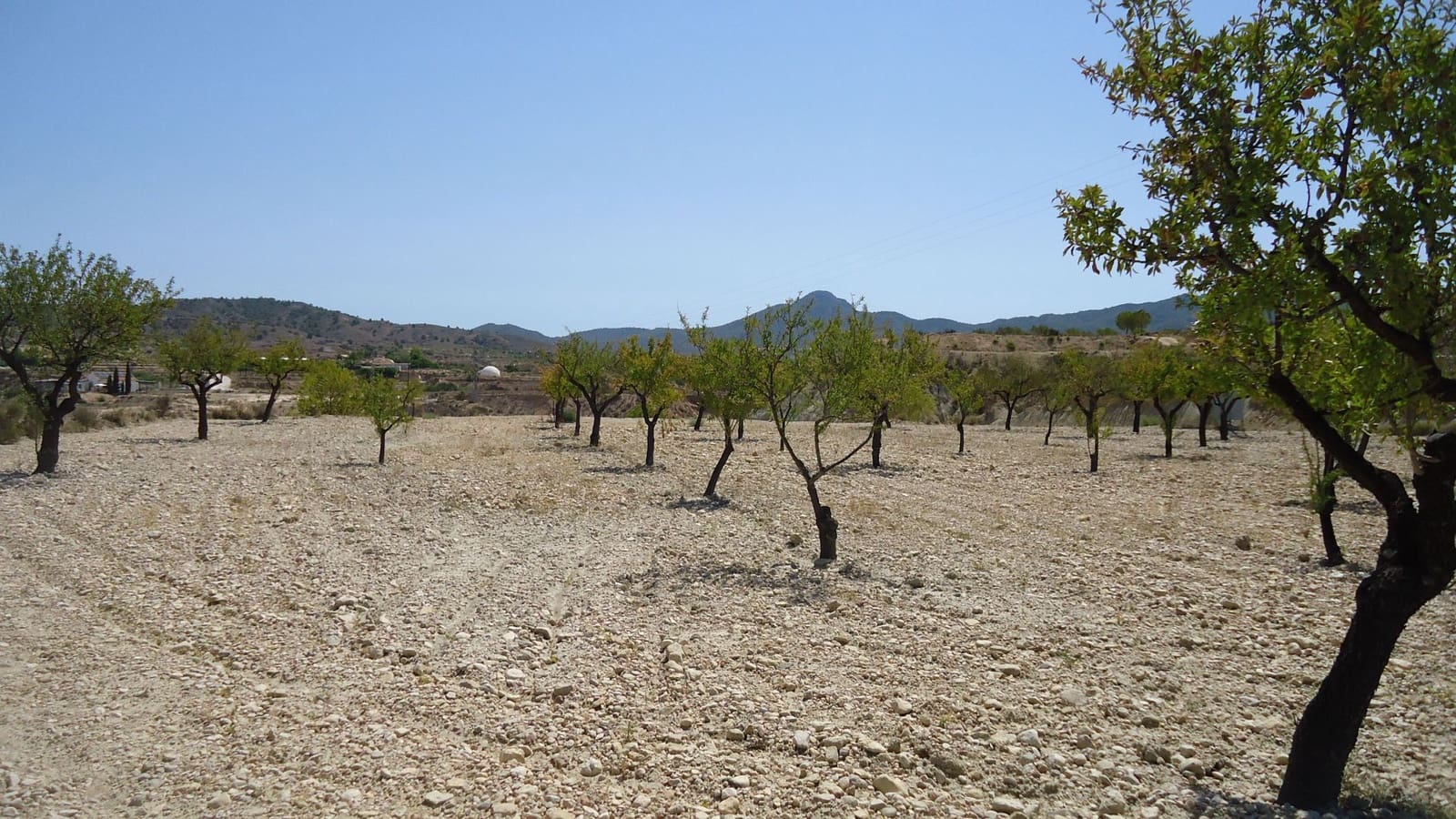 Terreno Non Edificato in vendita in Abanilla - 32.900 € (Rif: 9687218)