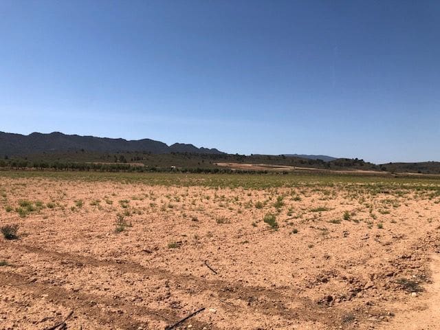 Grunde uden byggetilladelser til salg i Yecla - € 41.900 (Ref: 9687220)