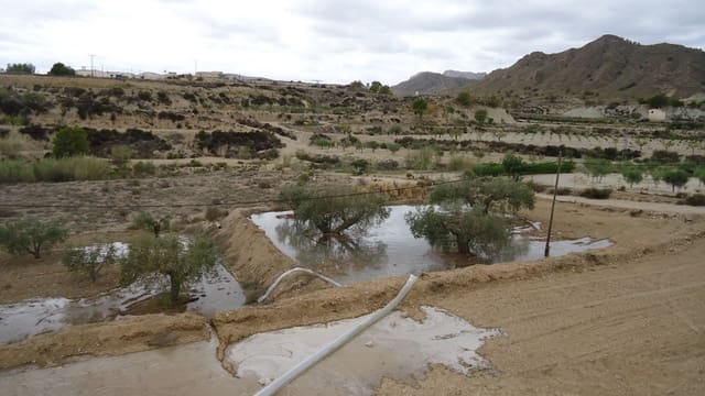 Grunde uden byggetilladelser til salg i Abanilla - € 19.900 (Ref: 9687224)