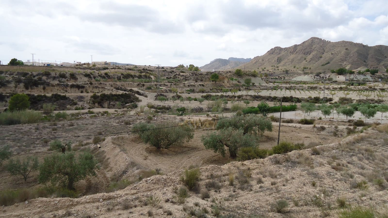 Ubebygd land til salgs i Abanilla - € 19 900 (Ref: 9687224)