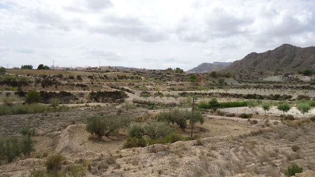 Ubebygd land til salgs i Abanilla - € 19 900 (Ref: 9687224)