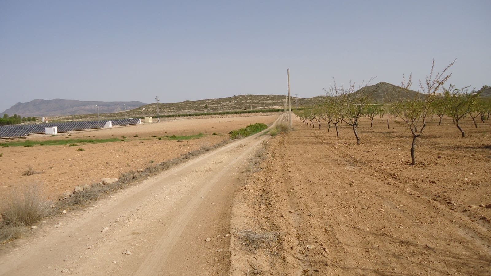 Undeveloped Land for sale in Jumilla - € 139,900 (Ref: 9687225)