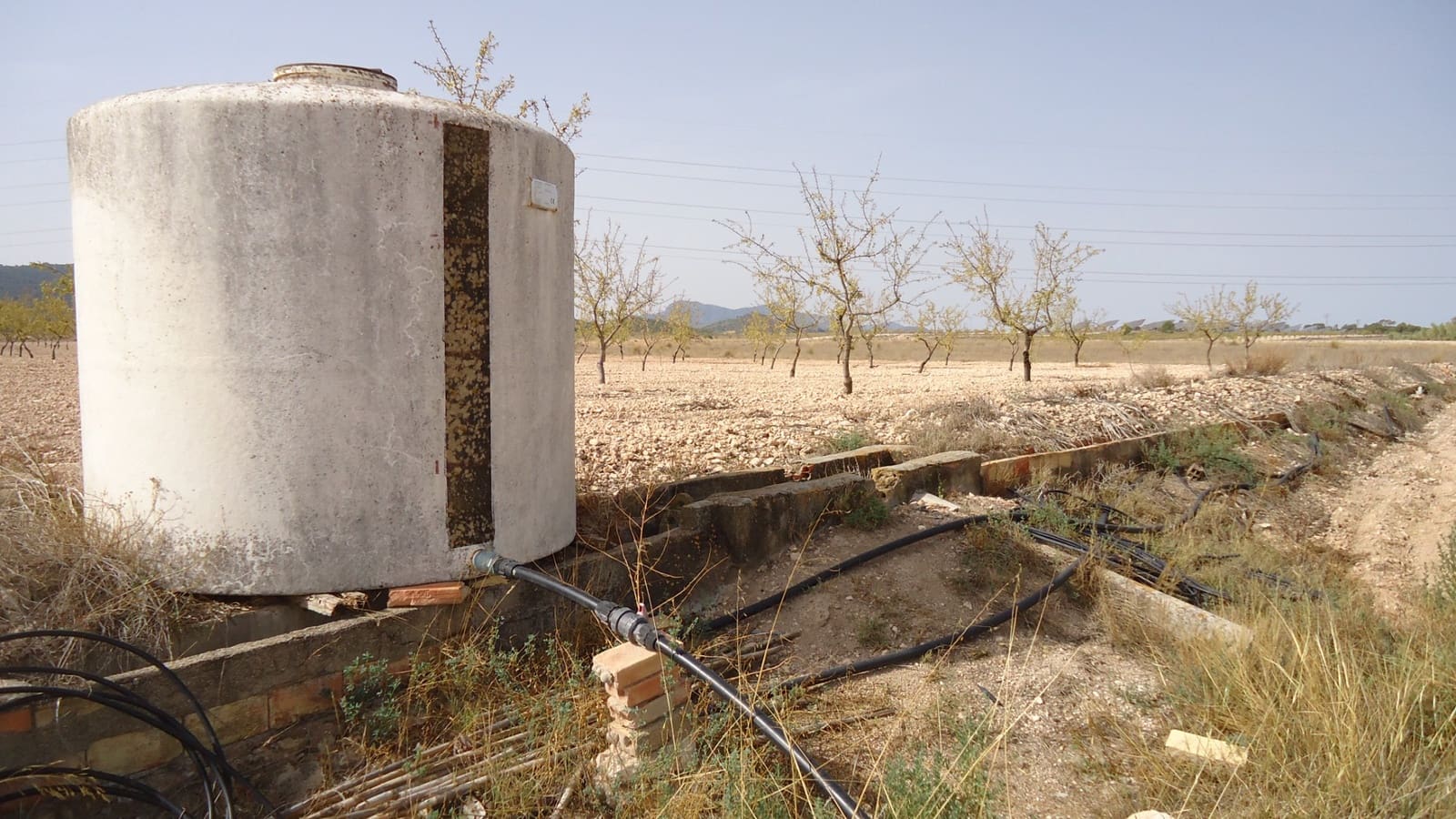 Undeveloped Land for sale in Jumilla - € 139,900 (Ref: 9687225)